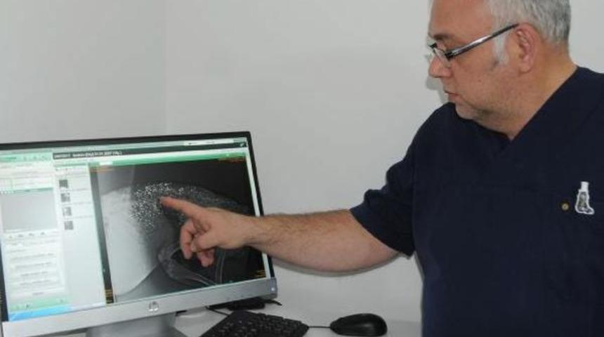 10 Aylık K&ouml;peği Sırtından Vurdular