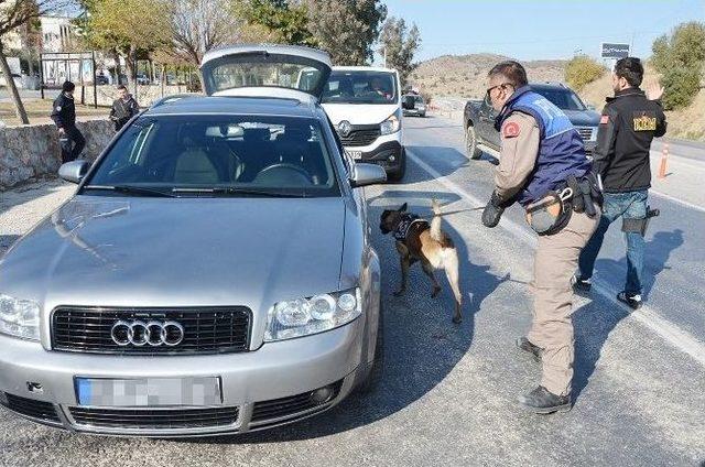 Özel Eğitimli Köpeklerden Sevkiyatlara Engel