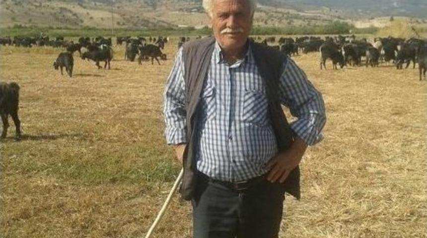 Aydınlı &Ccedil;obanların Yeni Başkan Ve Y&ouml;netimi G&ouml;reve Başladı