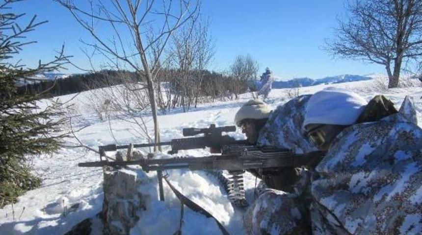 Giresun'da Jandarmadan Operasyon