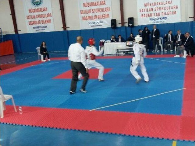 Develi’de 15 Temmuz Şehidi Murat Kocatürk Anısına Taekwondo Turnuvası Düzenledi