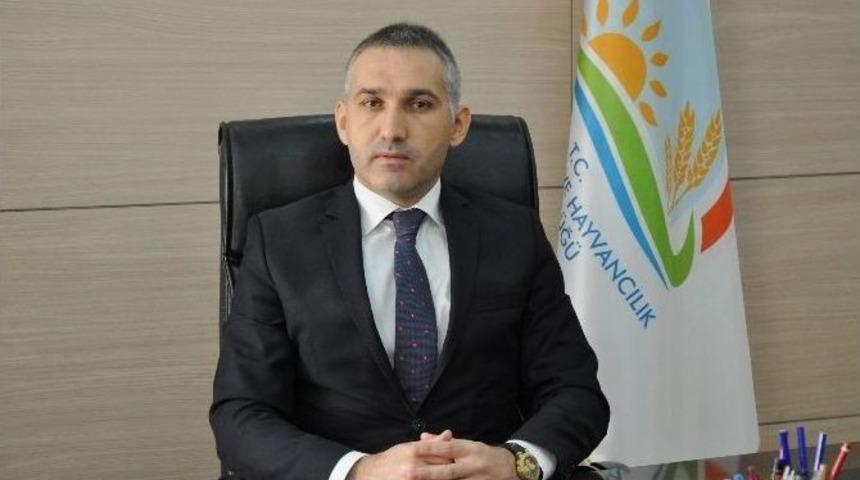 Manisa, Akhisar Ve Kırkağa&ccedil; Ovaları Koruma Altına Alındı