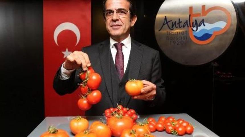 &Ccedil;andır: 7 Liraya Satılan Domates 5.5 Liraya &Uuml;retiliyor