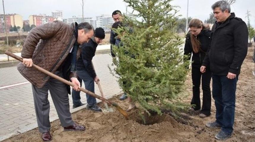 Yunusemre&rsquo;de 1 Milyon Fidan Toprakla Buluşuyor