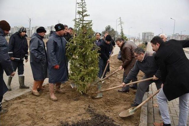 Yunusemre’de 1 Milyon Fidan Toprakla Buluşuyor