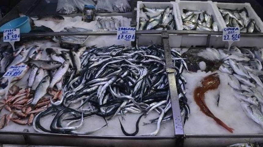 Kısır D&ouml;neme Girildi, Balık Fiyatları Tavan Yaptı