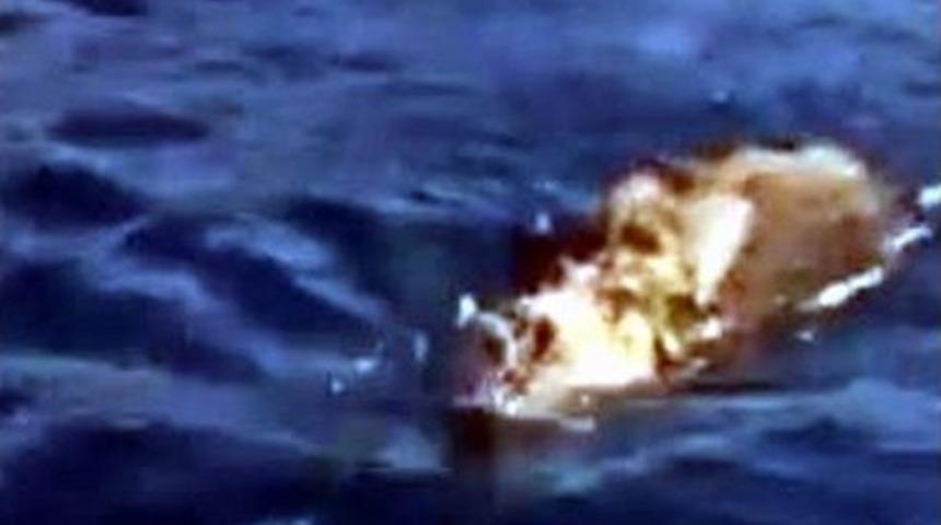 Deniz Ortasında Y&uuml;zen Domuz G&ouml;ren Balık&ccedil;ılar Şok Oldu