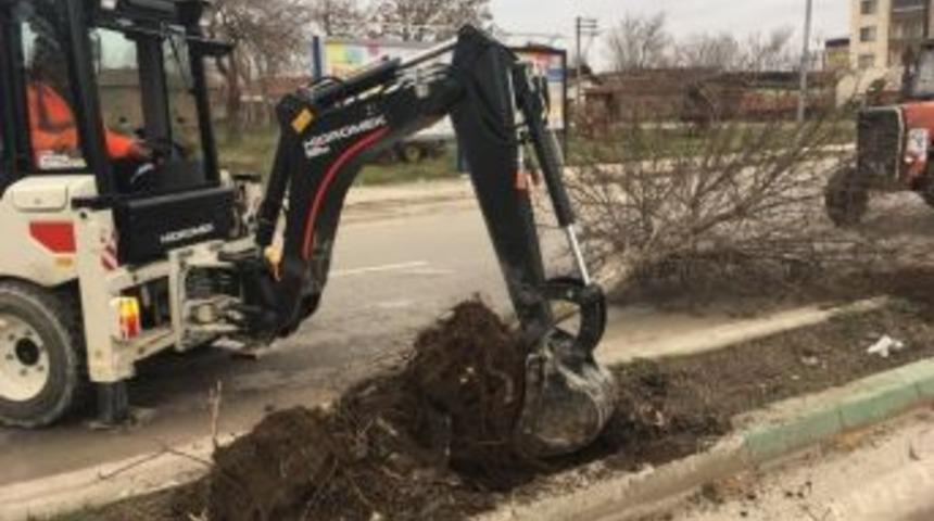 Karacabey&rsquo;de Ağa&ccedil;lar Kesilmiyor