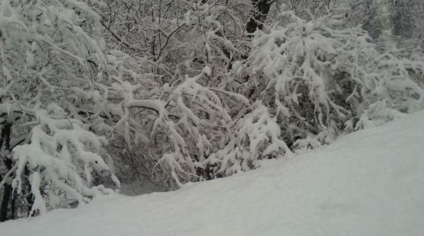 Şemdinli&rsquo;de Kar Yağışı