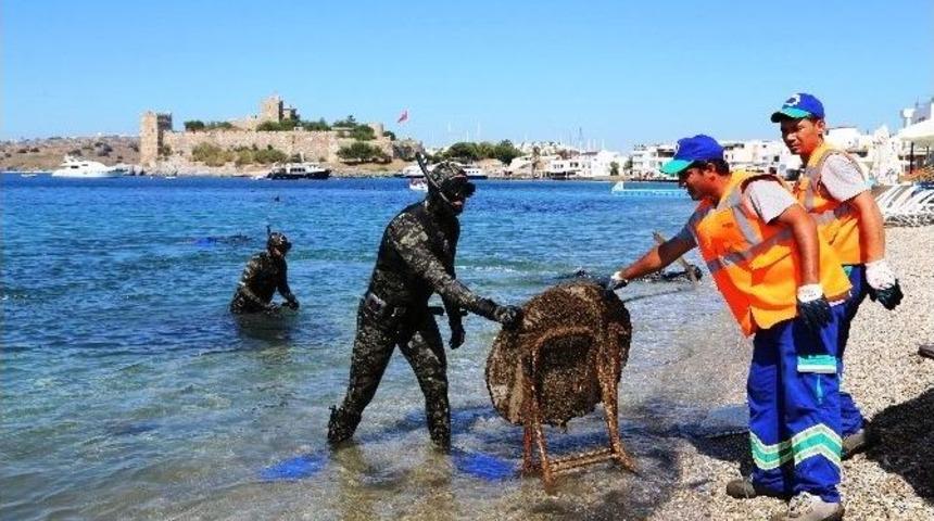 Deniz Dibi Temizlik Kampanyası Başlıyor