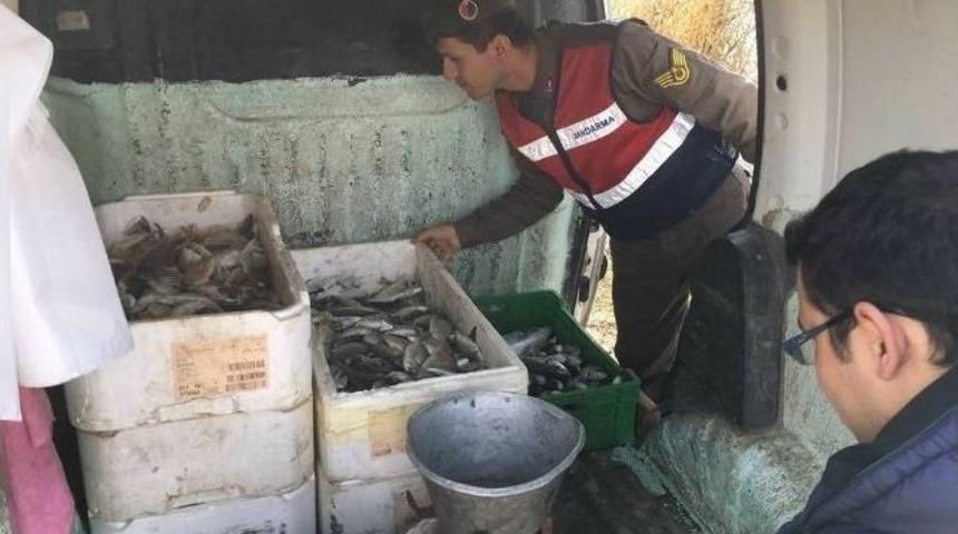S&ouml;ke&rsquo;de İ&ccedil; Sularda Yasak Balık Avıyla M&uuml;cadele S&uuml;r&uuml;yor