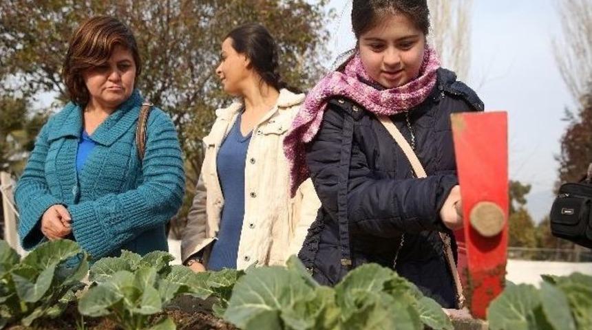 Buca&rsquo;nın Engelsiz Hobi Bah&ccedil;elerinde Hasat Zamanı
