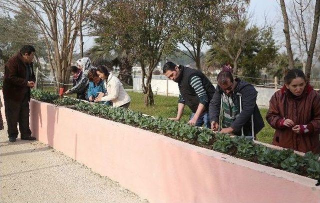 Buca’nın Engelsiz Hobi Bahçelerinde Hasat Zamanı