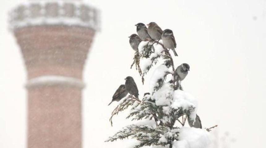 Sivas'ta Kar 680 K&ouml;y Yolunu Kapattı