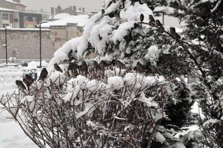 Sivas’ta 680 Köy Yolu Ulaşıma Kapandı G2