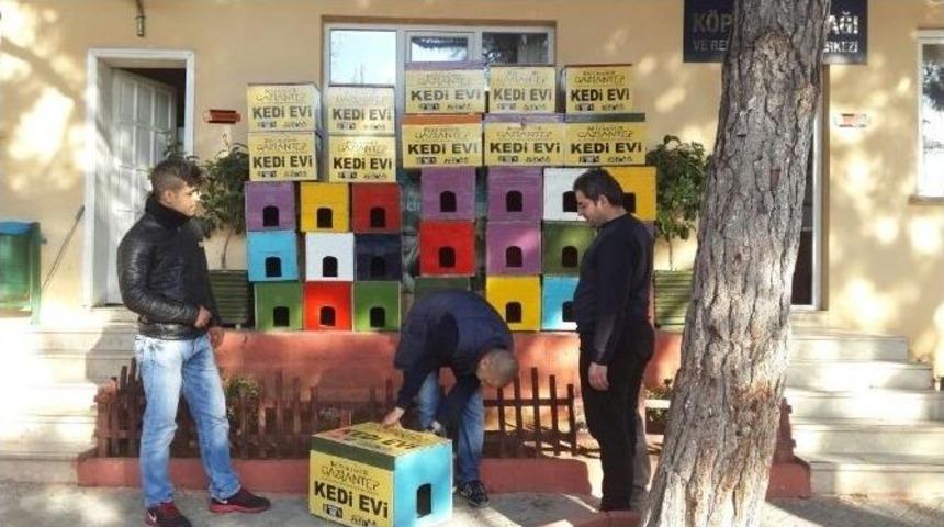 Gaziantep&rsquo;te &Uuml;cretsiz Kedi Barınağı Dağıtılıyor
