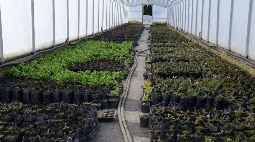 Meram&rsquo;ın Bitki &Uuml;retim Merkezi Seralar