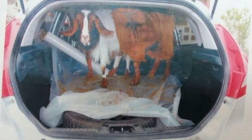 Otomobille Ke&ccedil;i &Ccedil;alan Hırsızlar Tutuklandı