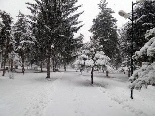 Kayseri'de Kar Yağışı Hayatı Olumsuz Etkiledi