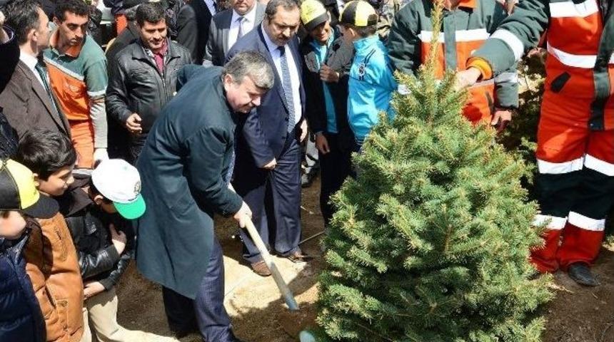 Konya&rsquo;da 2016&rsquo;da 9,6 Milyon Fidan Toprakla Buluştu
