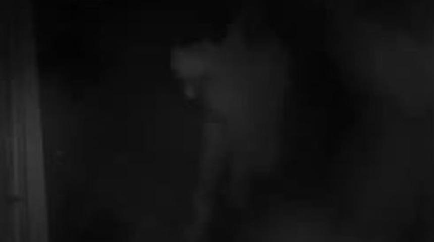 &Ccedil;ocuğunu Denize Atmaya B&ouml;yle G&ouml;t&uuml;rd&uuml;