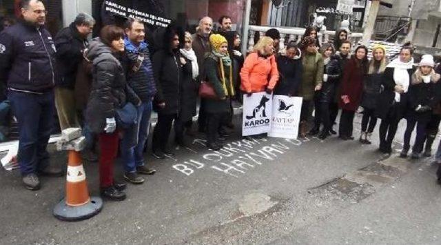 Maltepe'de Hayvanseverlerden Protesto