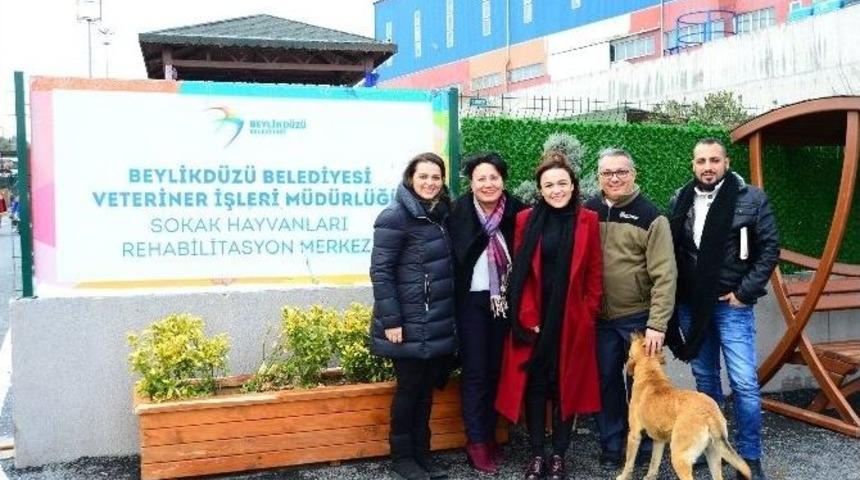 Girne Belediyesi, Beylikd&uuml;z&uuml; Modelini &Ouml;rnek Almak İ&ccedil;in İl&ccedil;eye Geldi