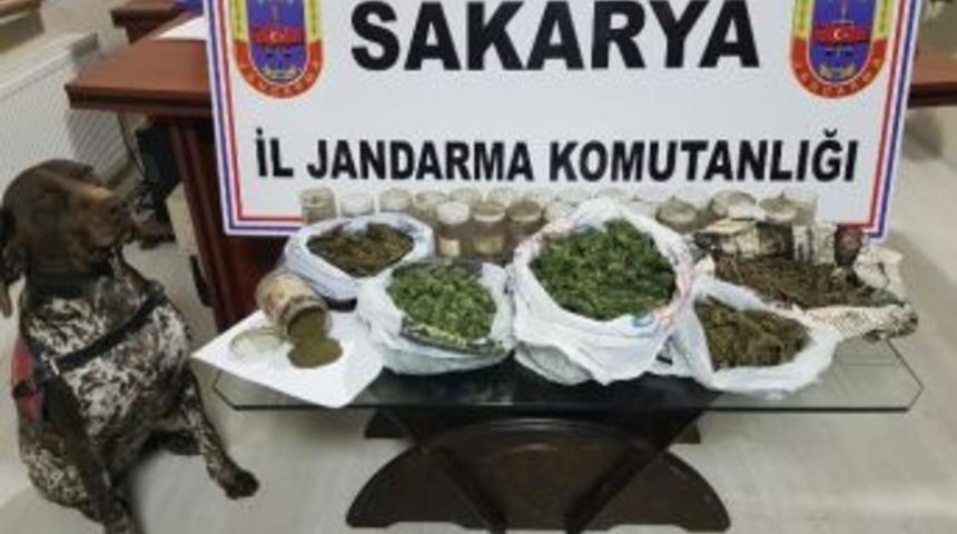 Jandarma Ekiplerinden Esrar Operasyonu