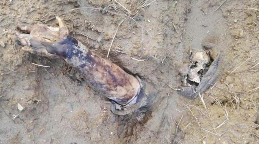 Toprağa G&ouml;m&uuml;l&uuml; Erkek Cesedi Bulundu (2)