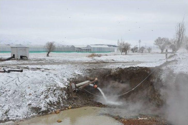 Jeotermal Su İle Sıcaklığın 40 Dereceye Yükseltildiği Serada Domates Üretiyorlar G5