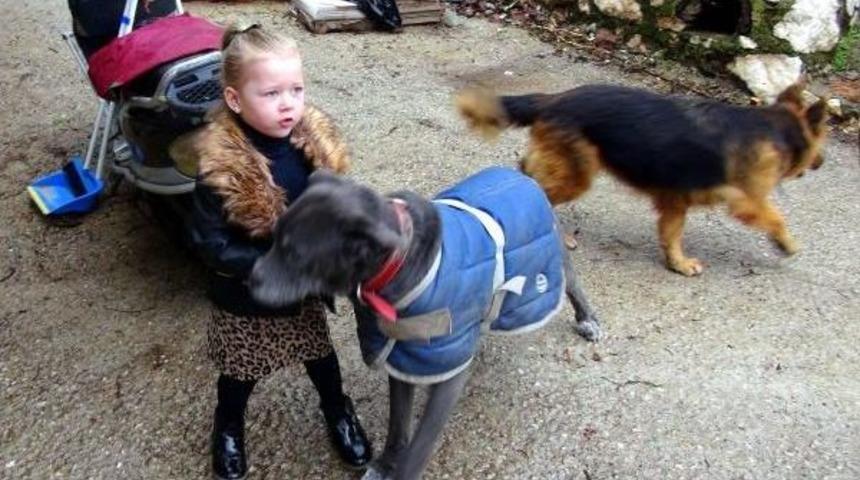 Can Dostları I&ccedil;in Yardım Toplayan İngiliz'e Teşekk&uuml;r Plaketi