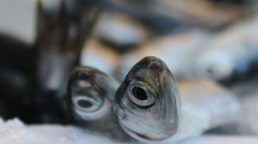 Kar Yağdı, Fiyatlar Arttı