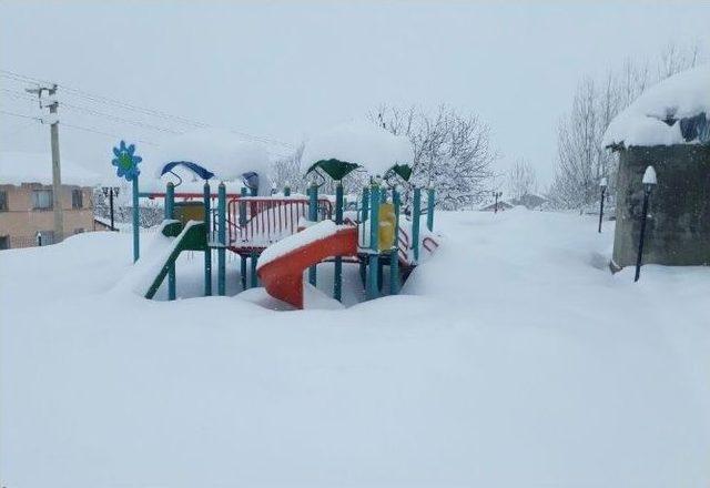 Bingöl Yedisu’da Kar Kalınlığı 50 Santimetreye Ulaştı