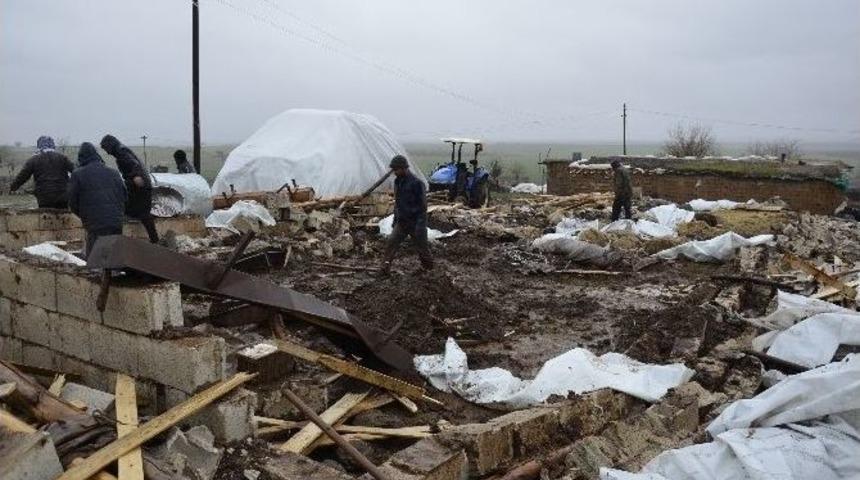 Barınağın &Ccedil;&ouml;kmesi Sonucu 40 Koyun Ve Kuzu Telef Oldu