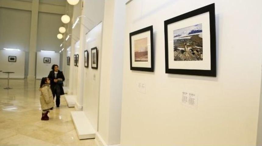 &ldquo;hepimizin Antarktika&rsquo;sı&rdquo; Sergisi Maltepe&rsquo;de A&ccedil;ıldı