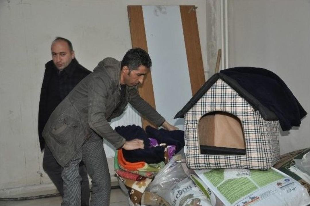 Uludere&rsquo;de Sokak Hayvanları İ&ccedil;in Sosyal Medya Seferberliği