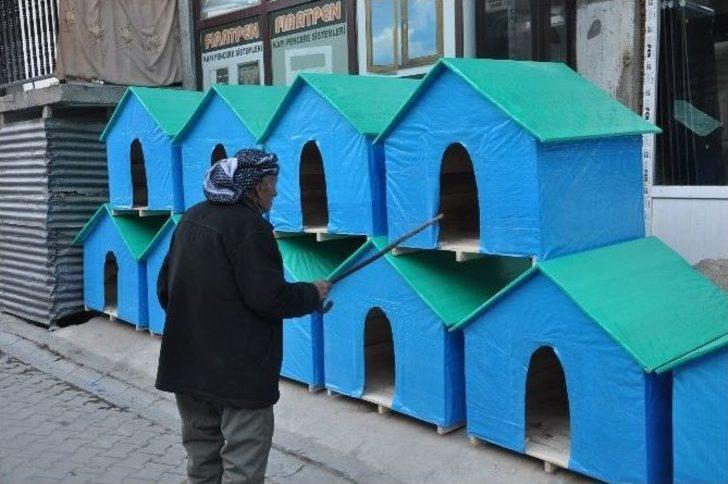 Uludere’de Sokak Hayvanları İçin Sosyal Medya Seferberliği G3