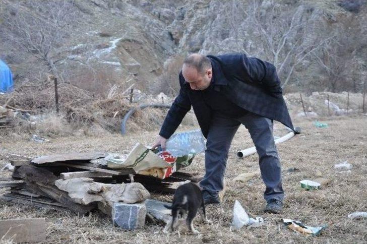 Uludere’de Sokak Hayvanları İçin Sosyal Medya Seferberliği G5