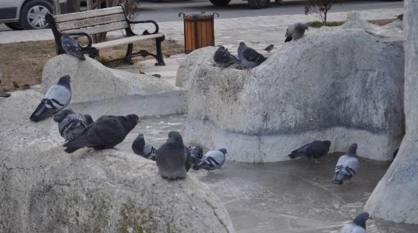 Kırklareli&rsquo;nde S&uuml;s Havuzları Buz Tuttu