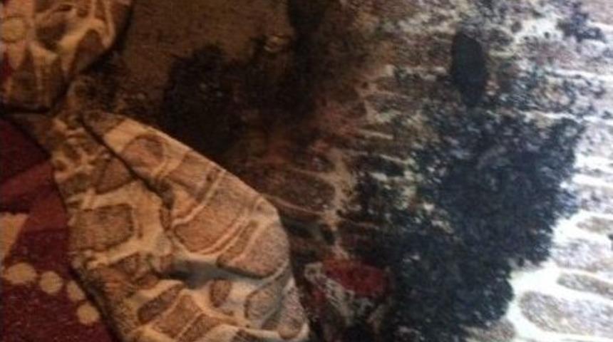 9 Yaşındaki Zihinsel Engelli &Ccedil;ocuk Yanarak &Ouml;ld&uuml;