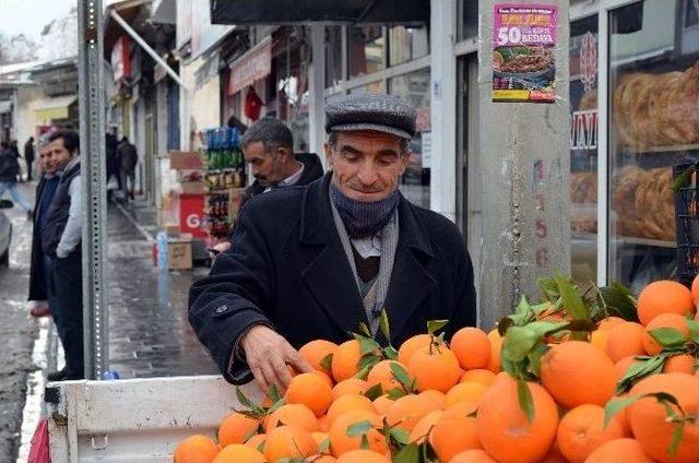 Mandalina Ve Portakal Satışı Esnafın Yüzünü Güldürdü