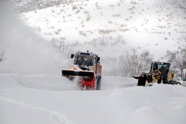 Tunceli, Elazığ Ve Bingöl'de Beyaz Esaret