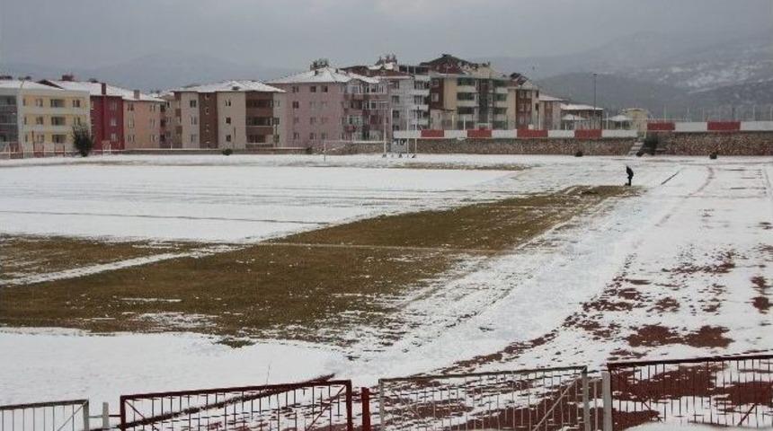 1 Kişinin Koca Stadı Temizlemesi &lsquo;samanlıkta İğne Aramak&rsquo; Deyimini Akıllara Getirdi