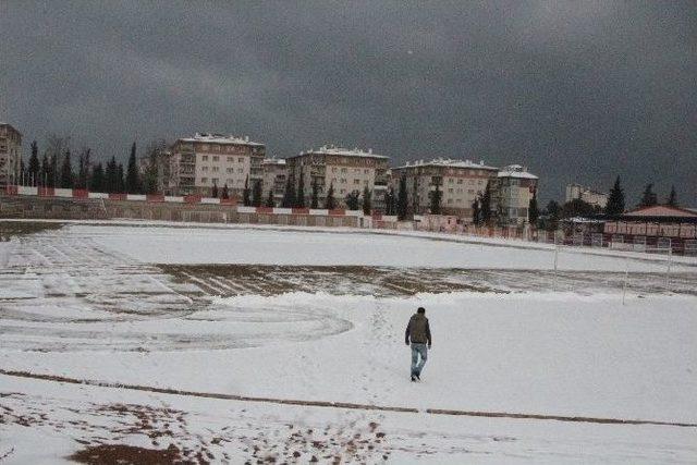 1 Kişinin Koca Stadı Temizlemesi ‘samanlıkta İğne Aramak’ Deyimini Akıllara Getirdi