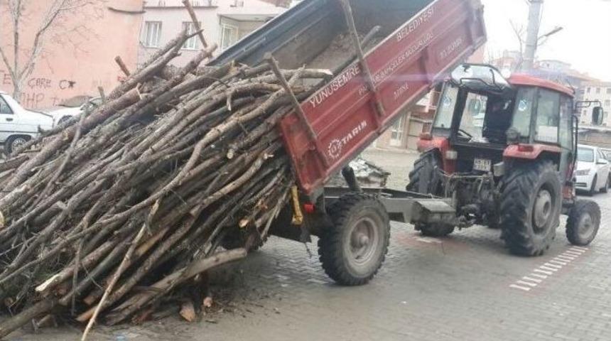 Budanan Ağa&ccedil;lar İhtiya&ccedil; Sahiplerine Veriliyor