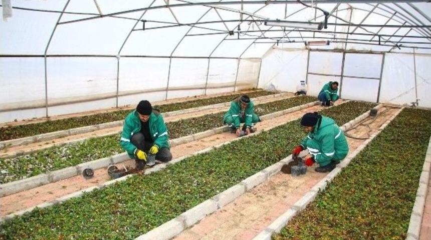 Elazığ Belediyesi Rengarenk Bir Şehir İ&ccedil;in &Uuml;retiyor