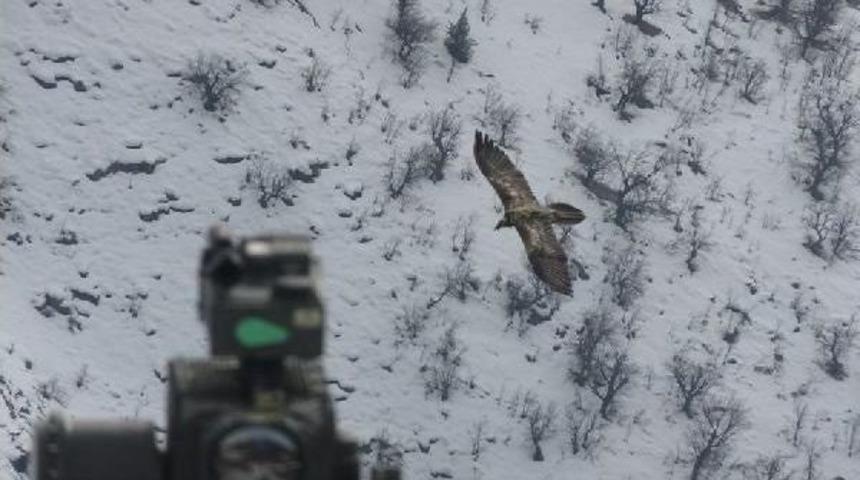 Bordo Bereliler Metina'ya Sızdı, Savaş U&ccedil;akları Vurdu : 57 Ter&ouml;rist &Ouml;ld&uuml;r&uuml;ld&uuml;