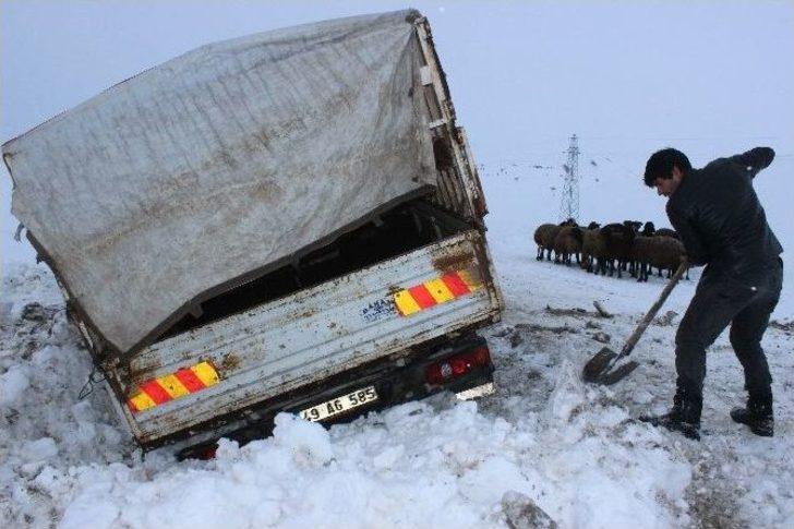 Gebe Hayvan Yüklü Kamyonet Şarampole Düştü G3