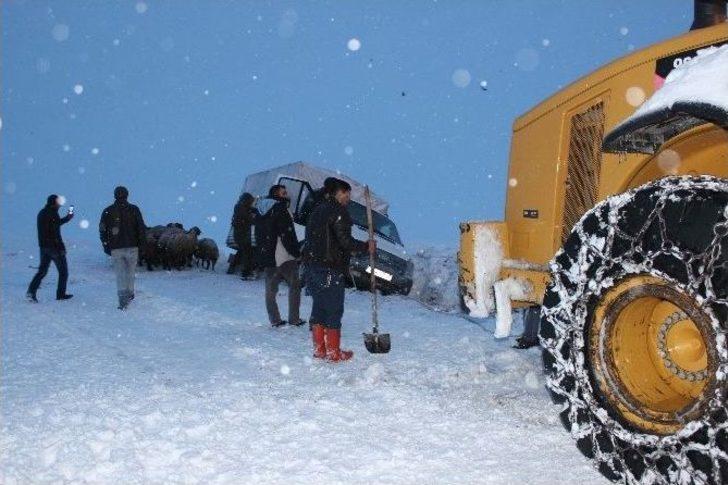 Gebe Hayvan Yüklü Kamyonet Şarampole Düştü G4