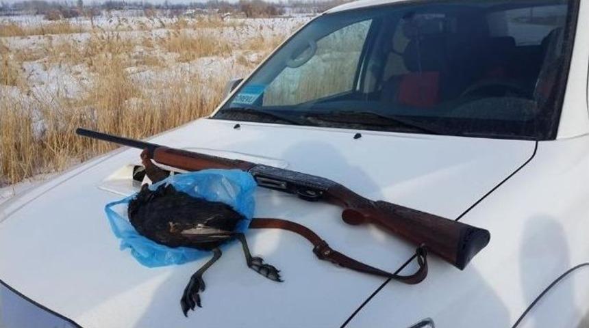 Ka&ccedil;ak Avcıya Bin 115 Lira Para Cezası Kesildi